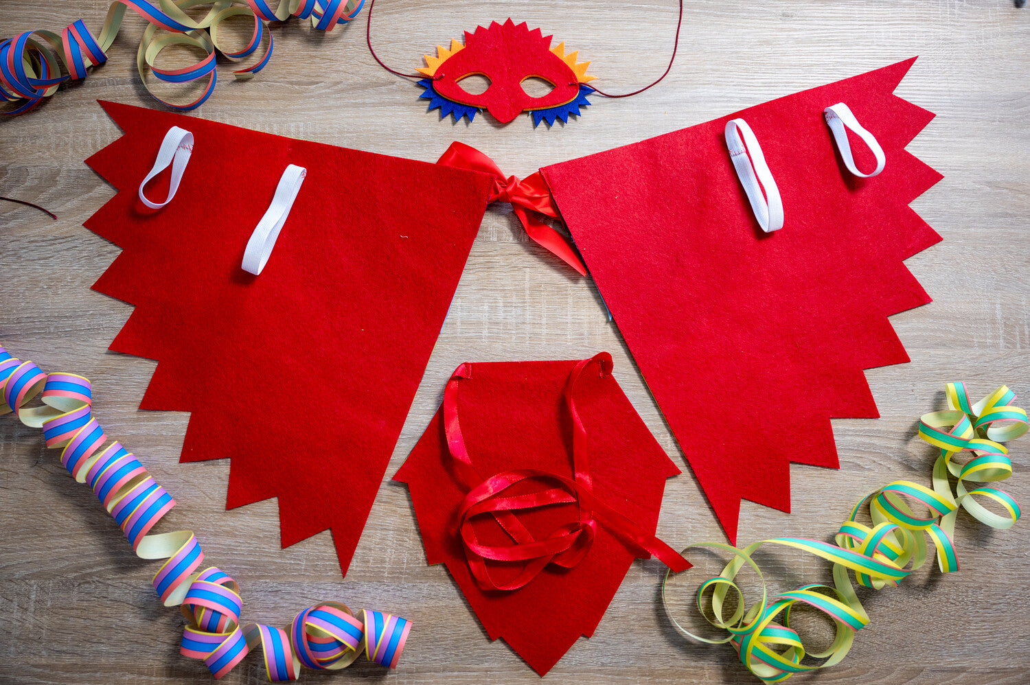 Carnival bird costume