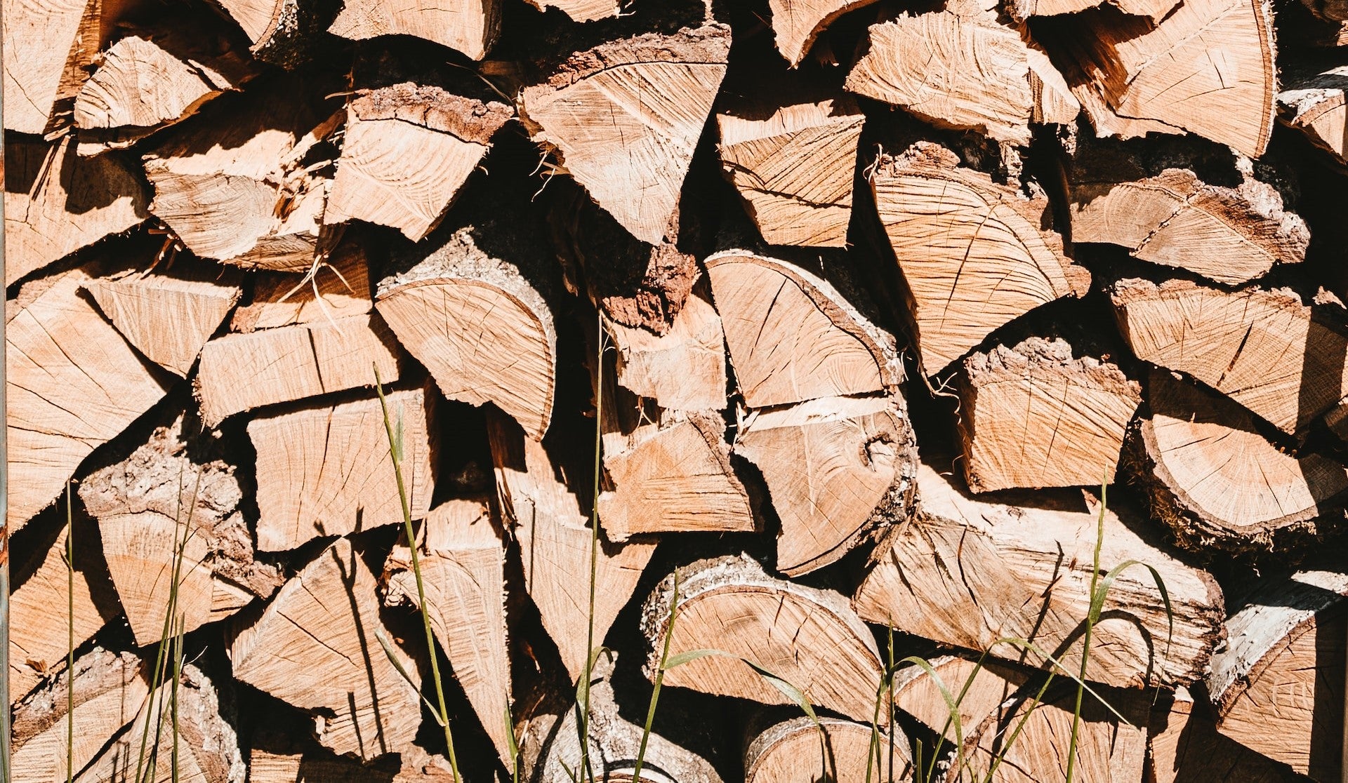 madera de roble