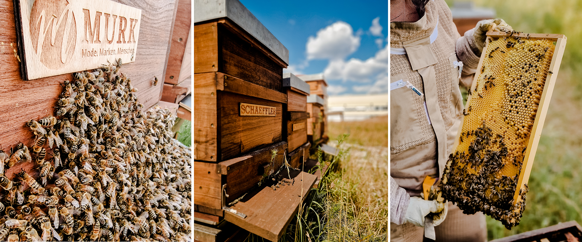 Trabajo de apicultura