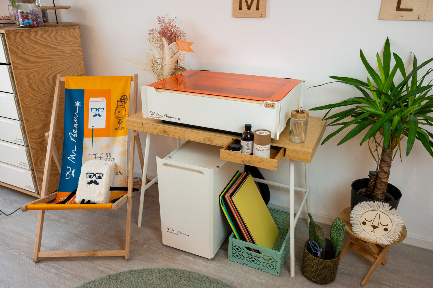 Mr Beam laser cutter