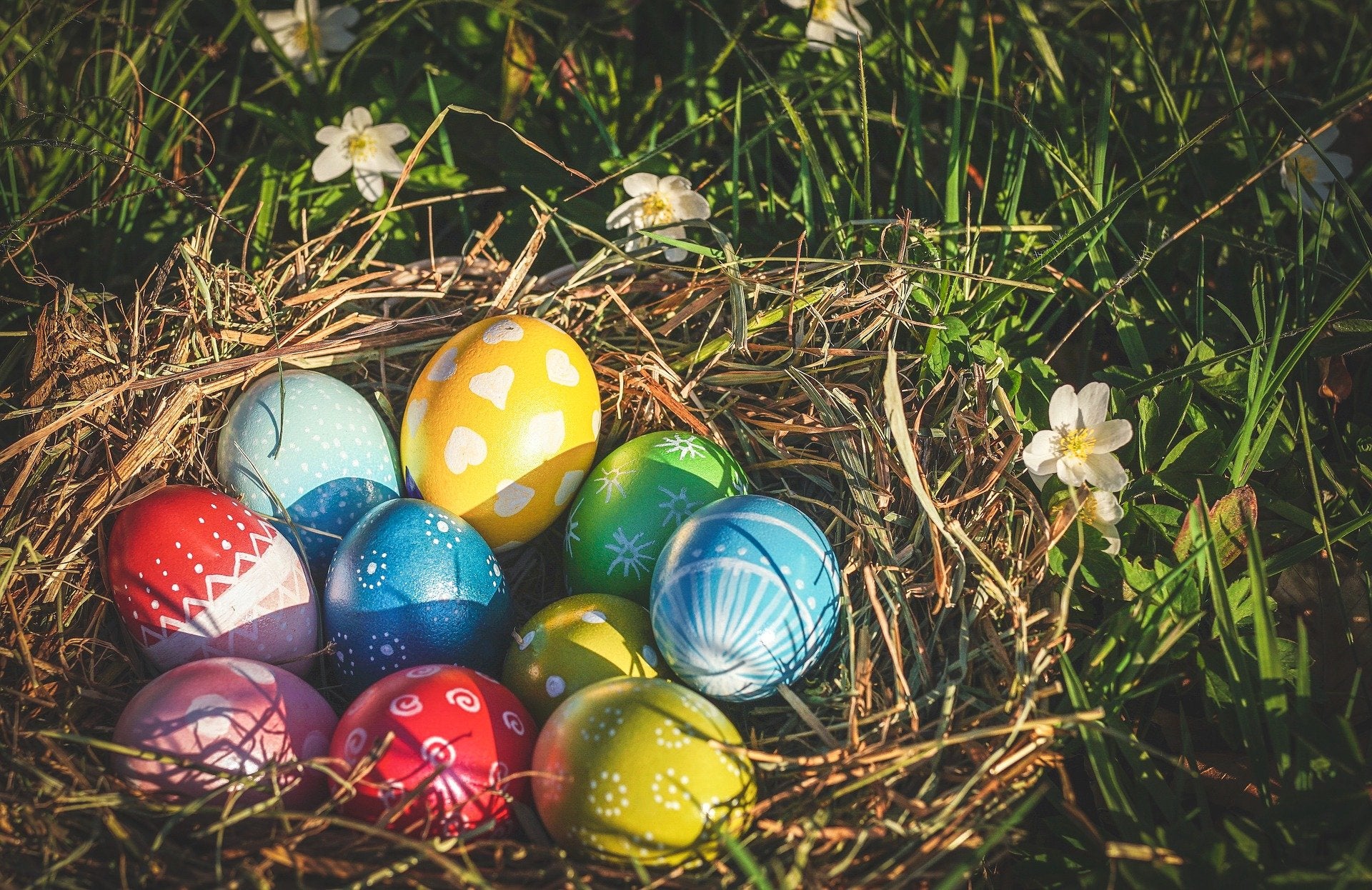 Eier bemalen für Ostern