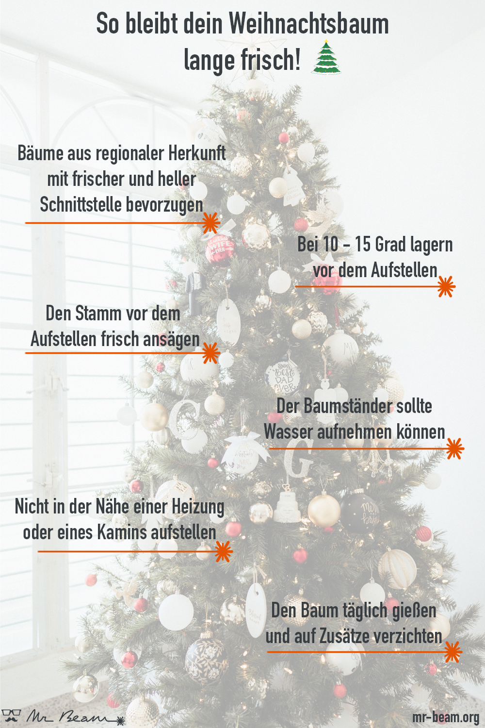 So bleibt der Weihnachtsbaum lange frisch