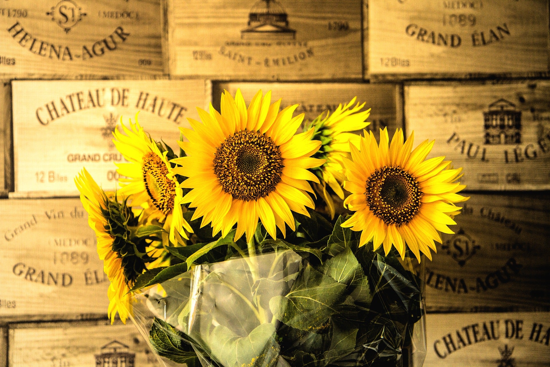 Girasoles para el día de la madre