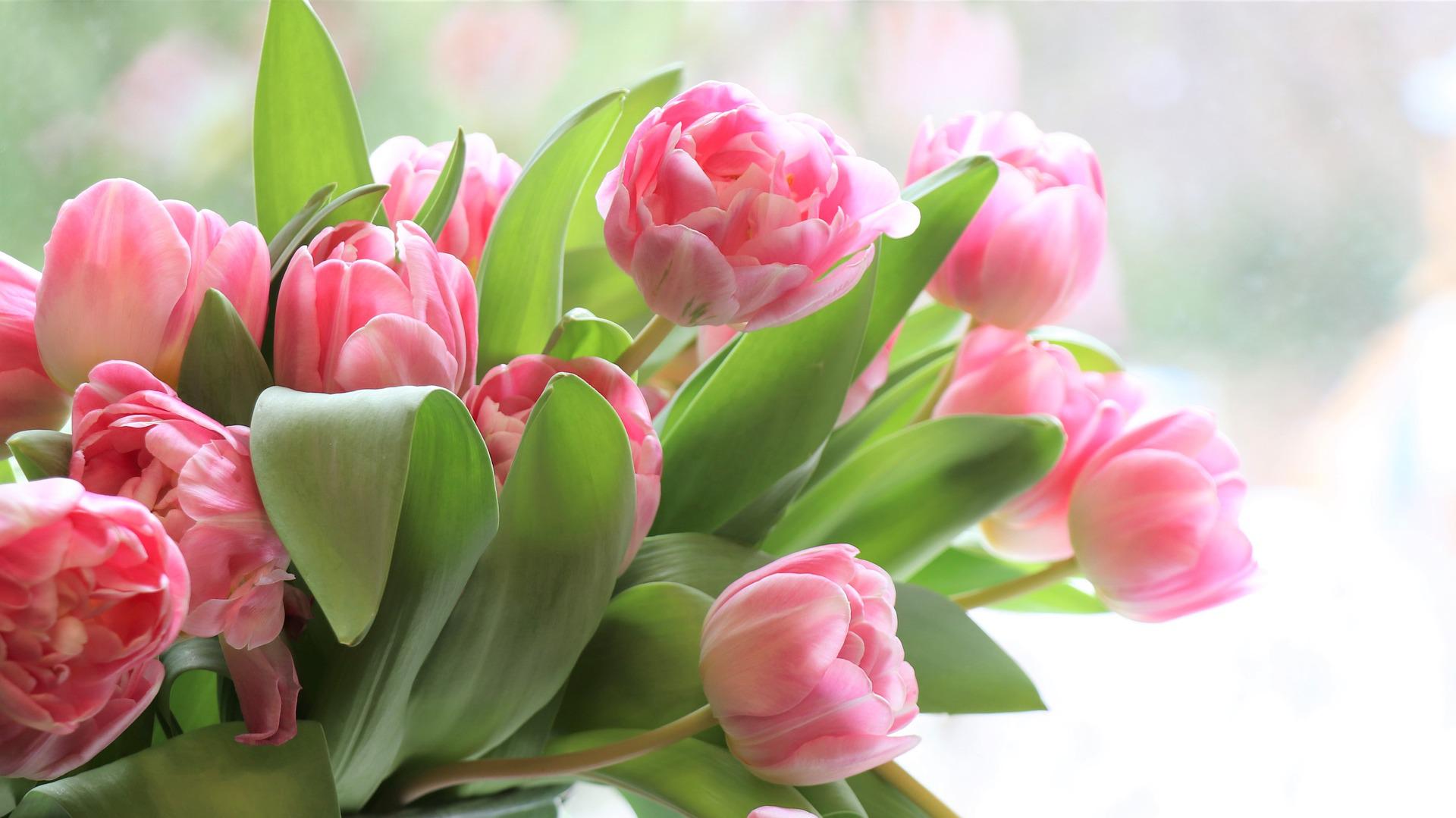 tulipanes para el dia de la madre