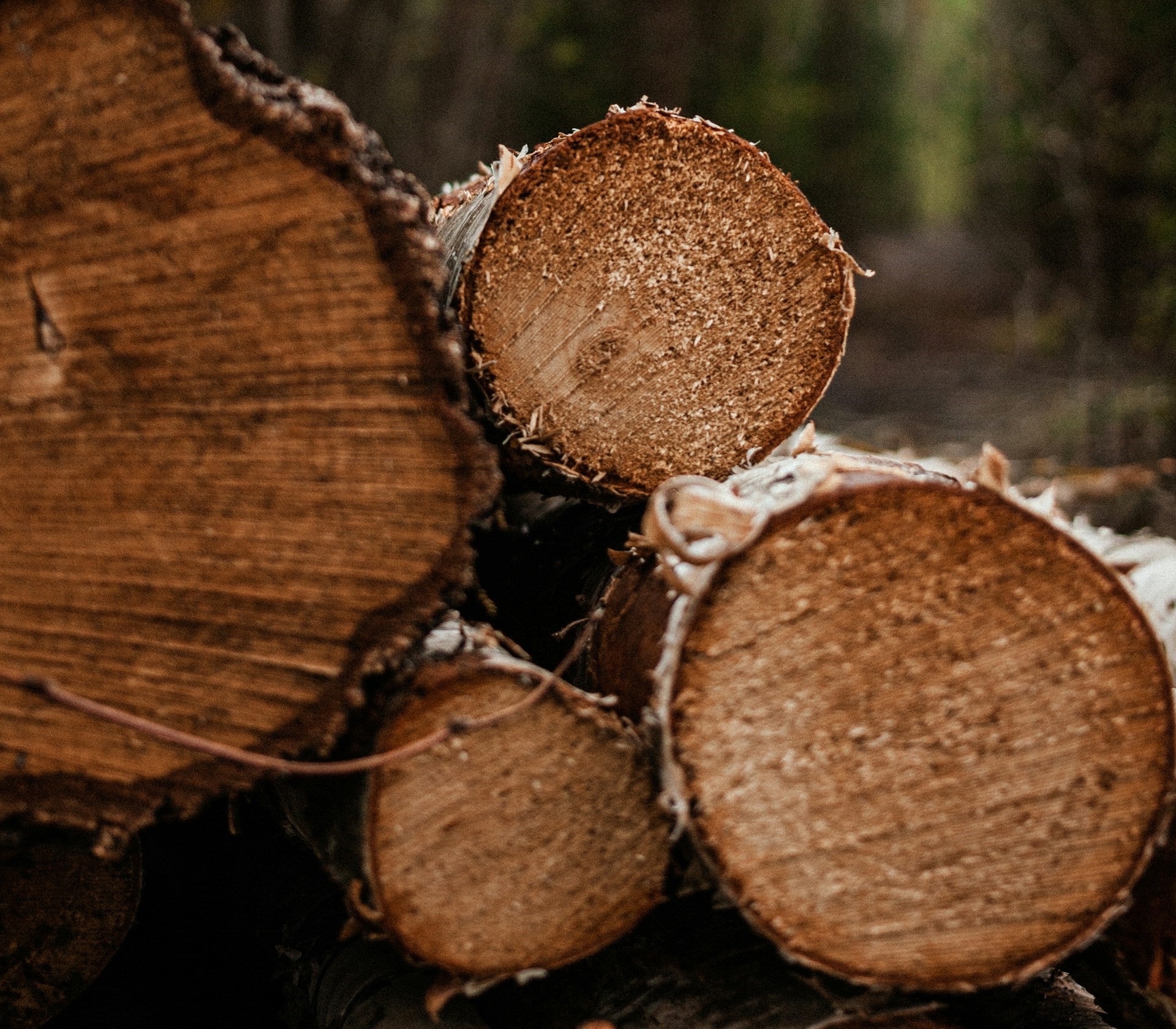 weather-resistant wood