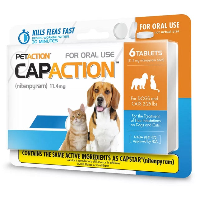 are cat flea the same as dog fleas