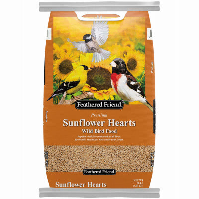 feathered friends sunflower hearts