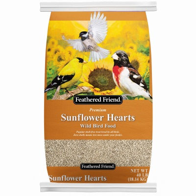 feathered friends sunflower hearts