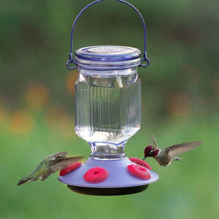 hummingbird feeders at home hardware