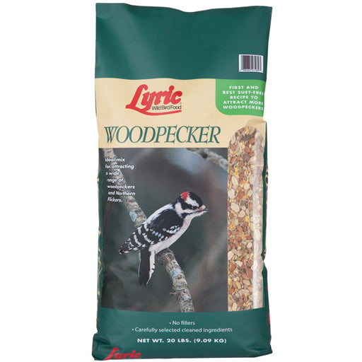 lyric woodpecker food