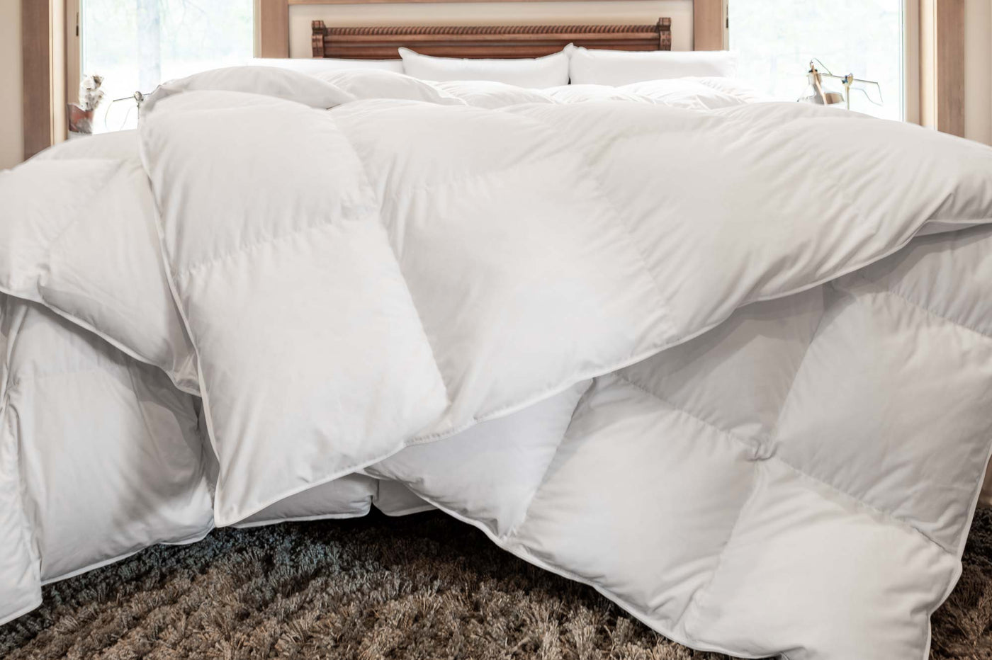 feathered friends comforter