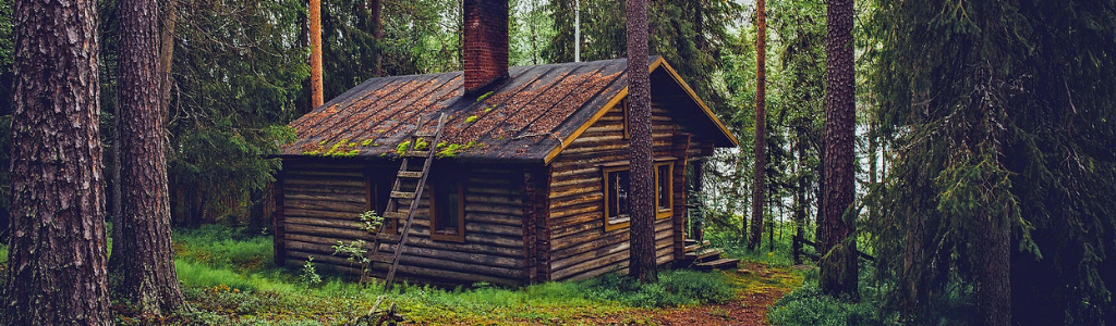 Angelausflug-nach-Norwegen-Holzhütte-im-Wald-Wolfgangs