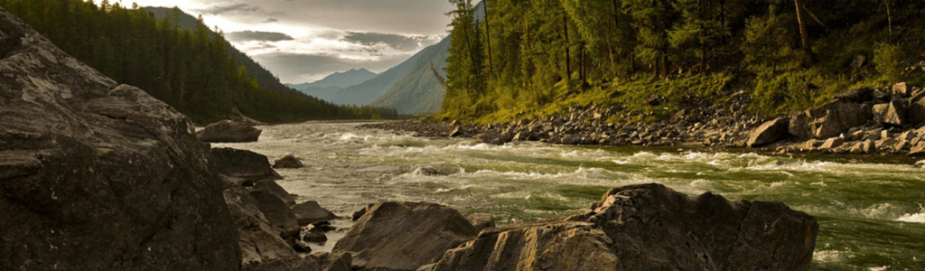 Notsignale-senden-in-der-Natur-Flusslauf-im-Wald-Wolfgangs