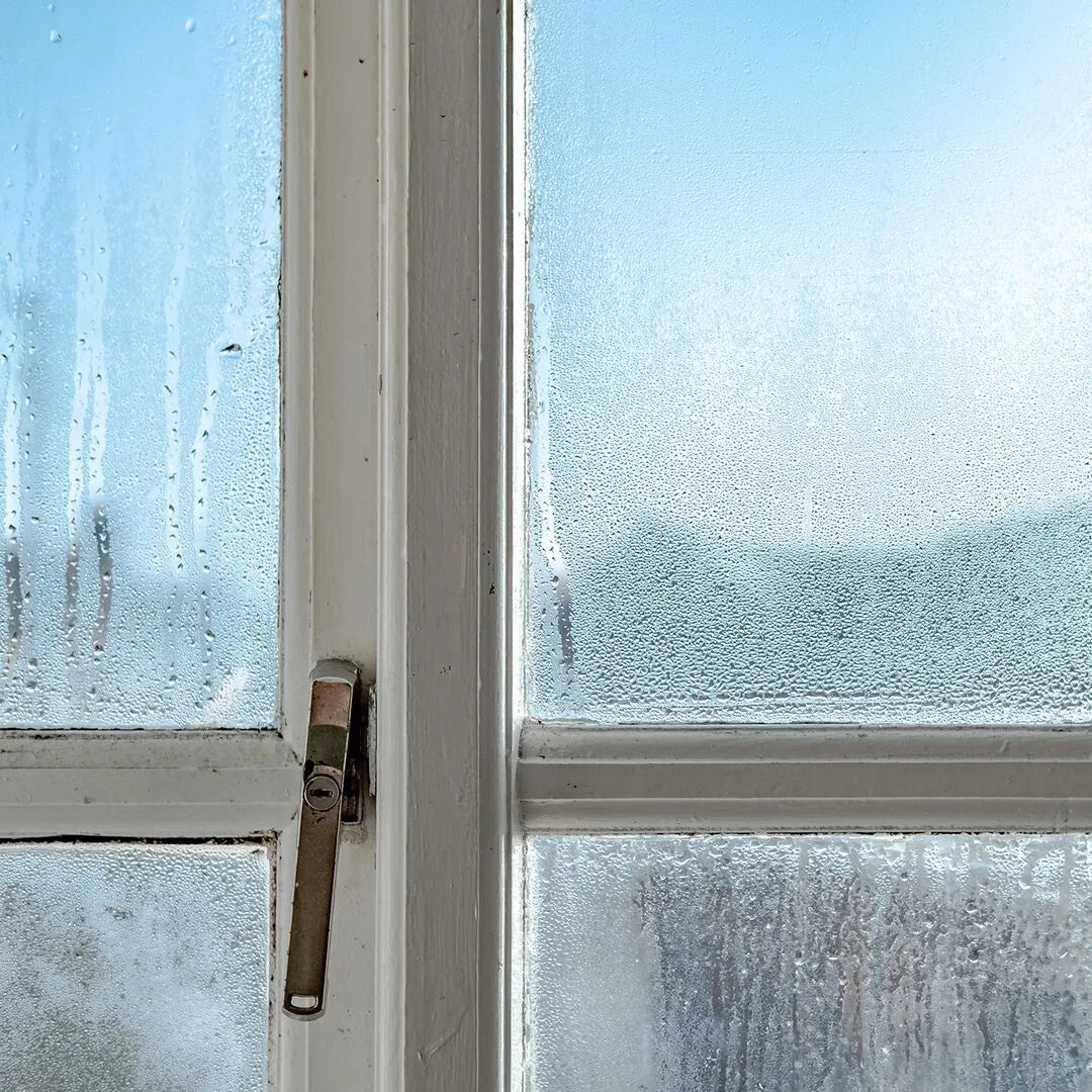 Blue sky is visible through the condensation on a glass window. This could be the perfect humidity for dust mites to thrive.