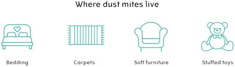 Dust mites live in places such as bedding, carpets, soft furnishings, stuffed toys.