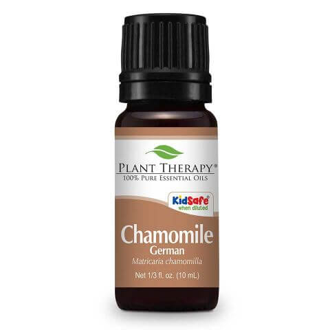 Roman Chamomile Essential Oil – Plant Therapy