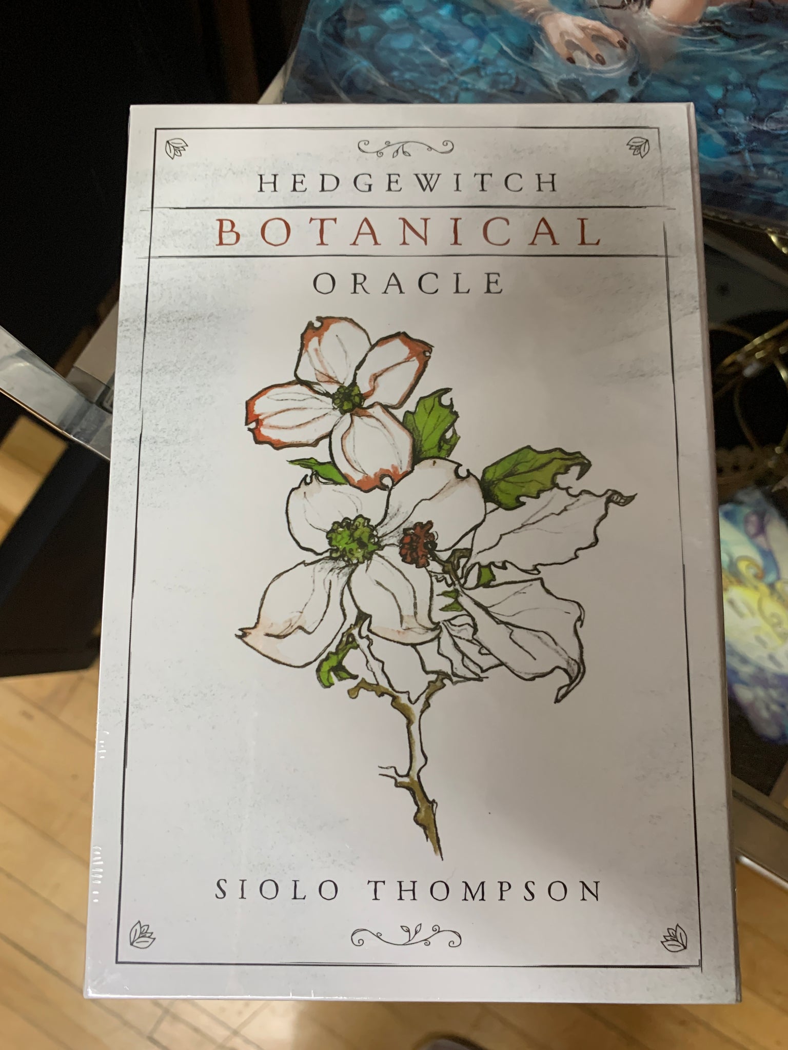hedgewitch-botanical-oracle-by-siolo-thompson-tree-of-life-shoppe