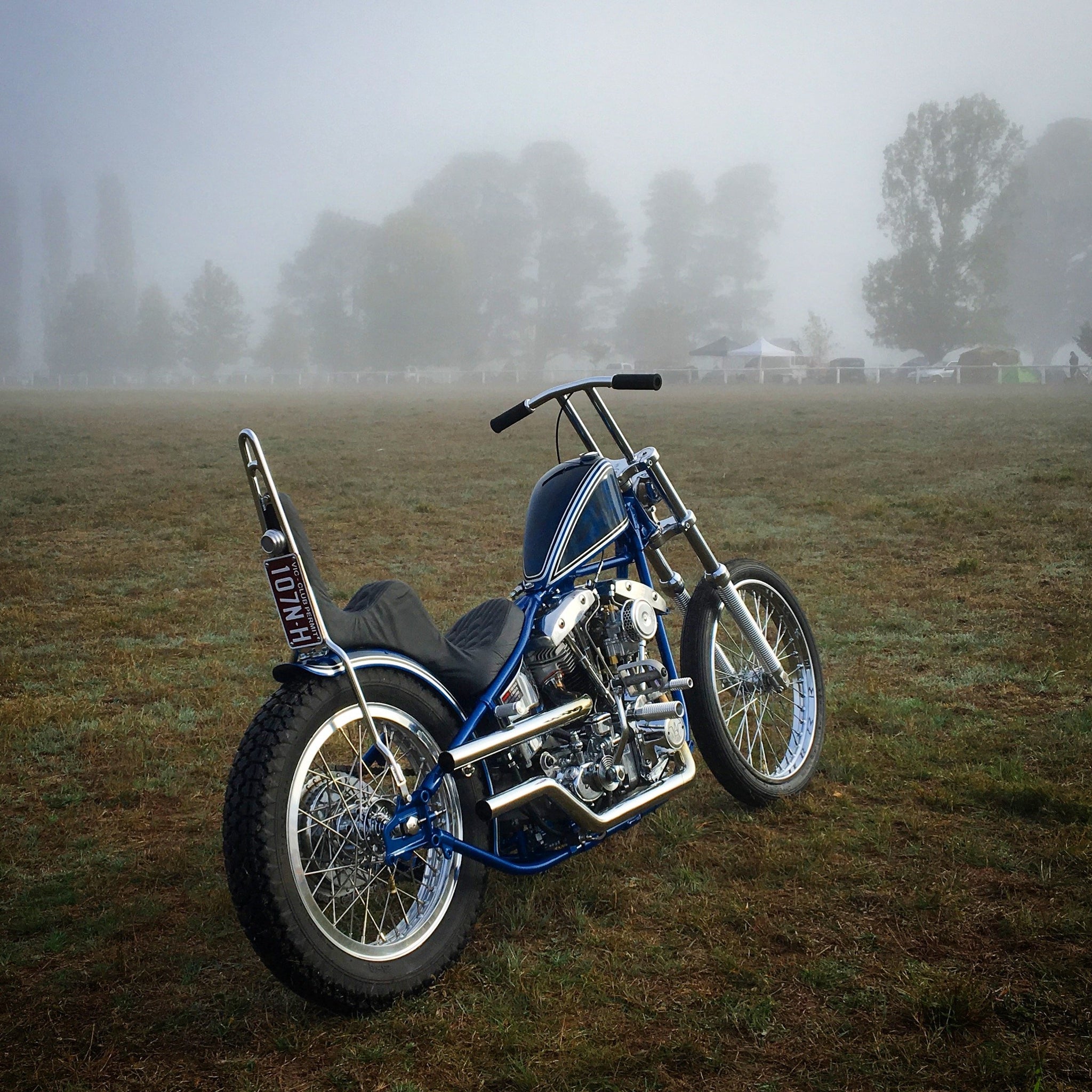 hardtail sissy bar