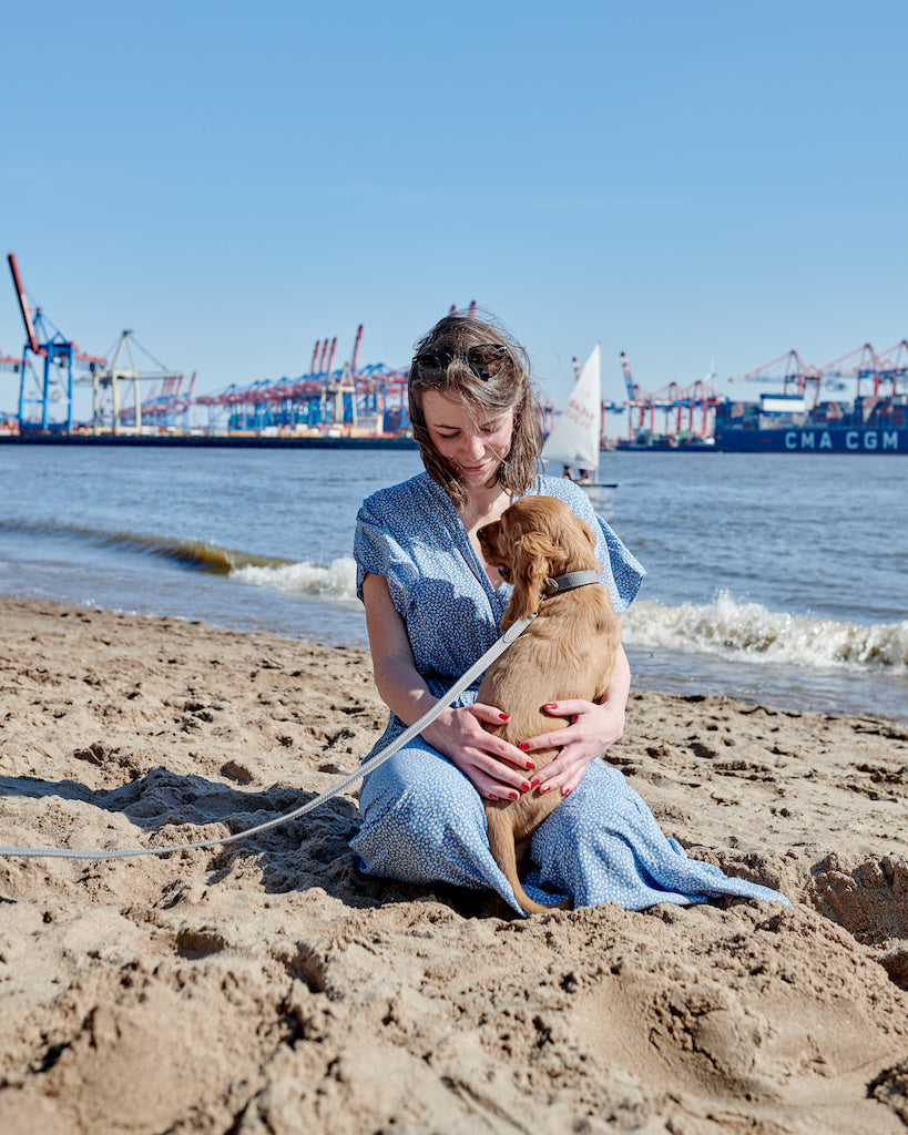 Die schönsten Hundestrände Deutschlands