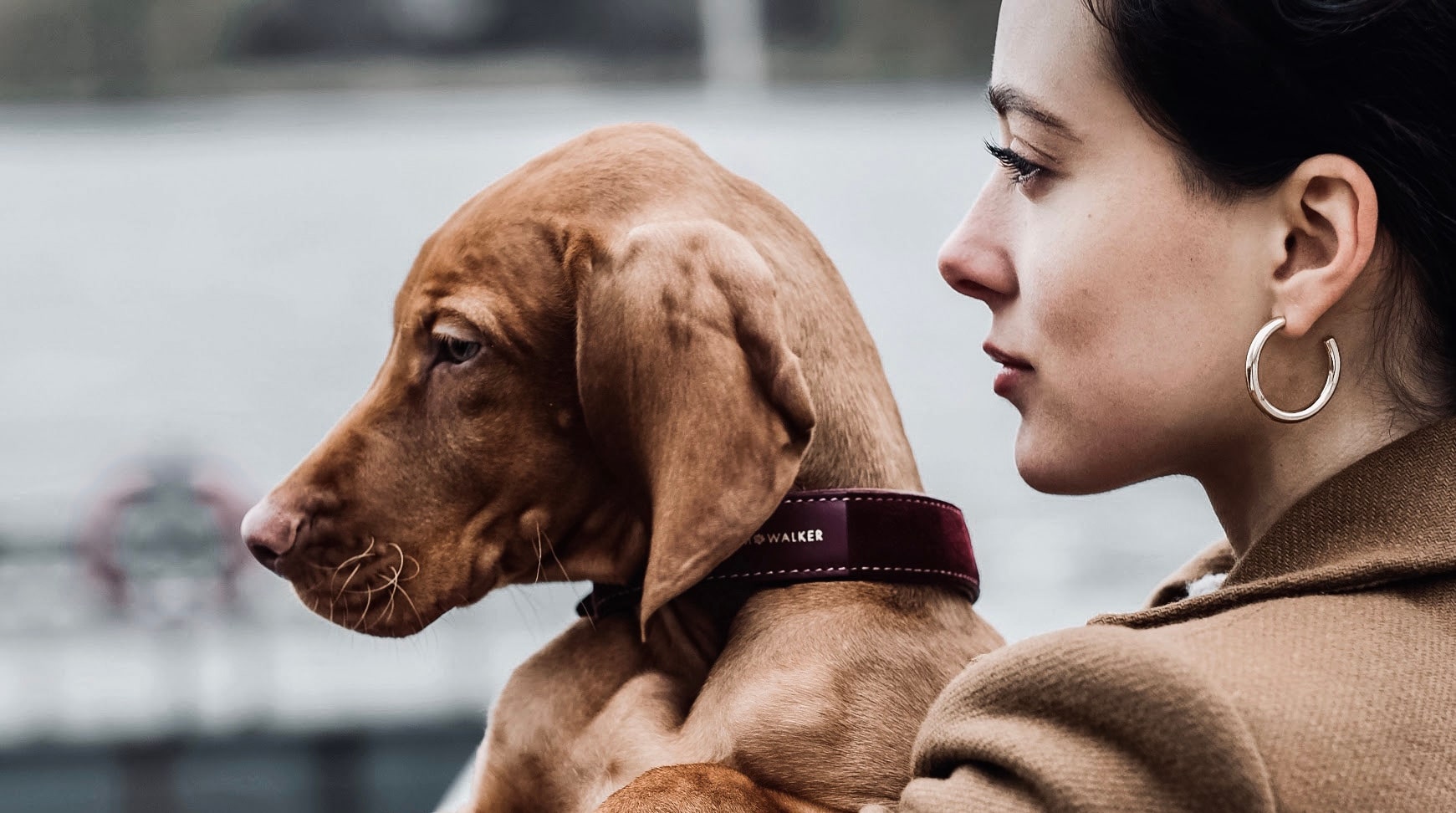 Vizsla mit Frau und Hundehalsband