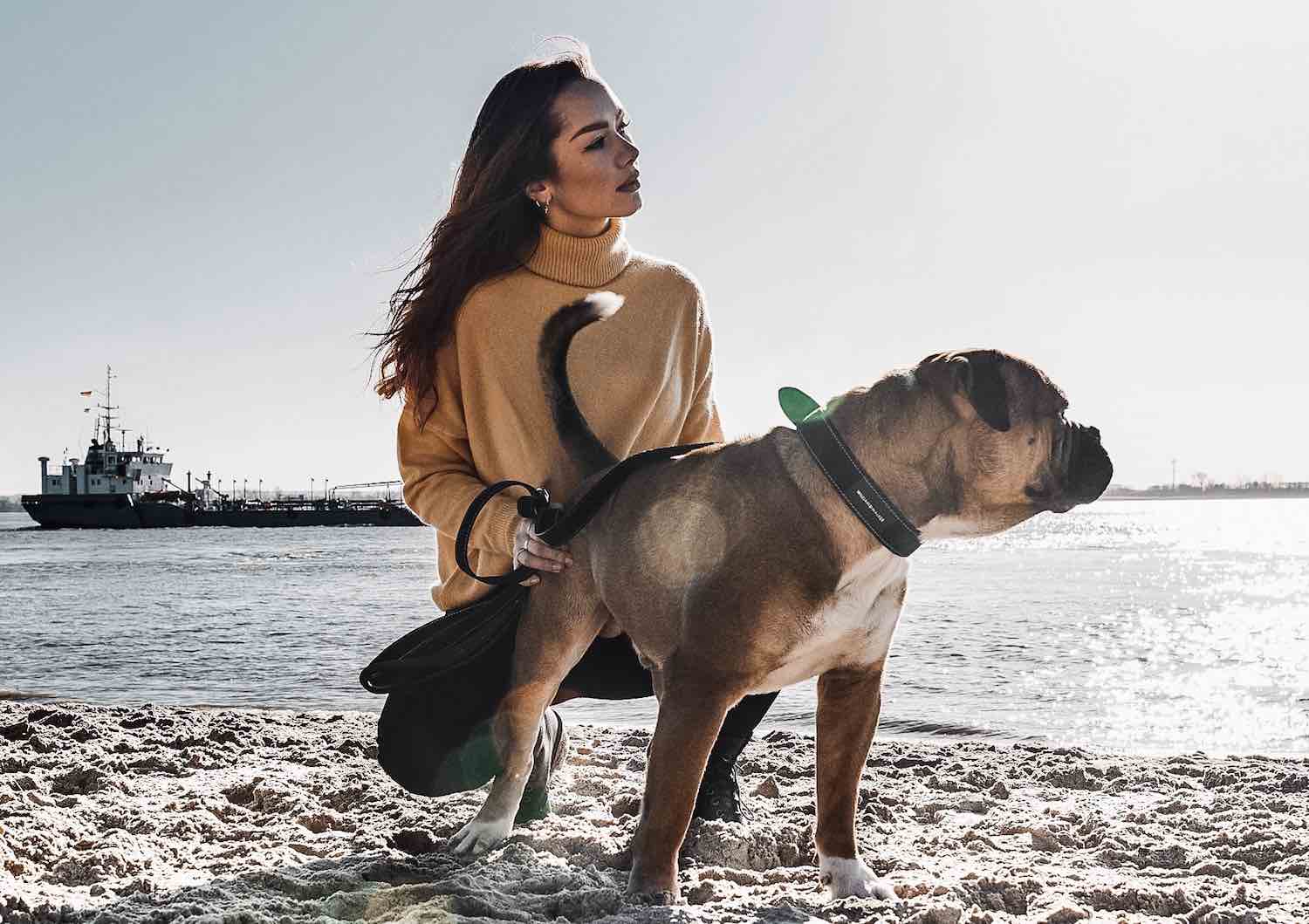 Continental Bulldog Female Model Dog Fashion Hundemode