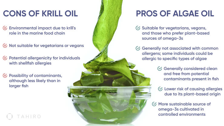 Krill Oil vs Algae Oil: What's the Difference?