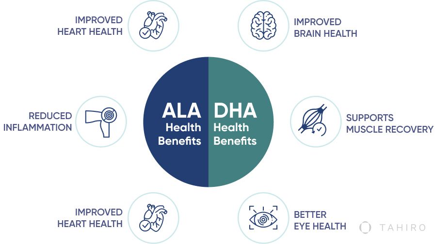 ALA vs. DHA health benefits