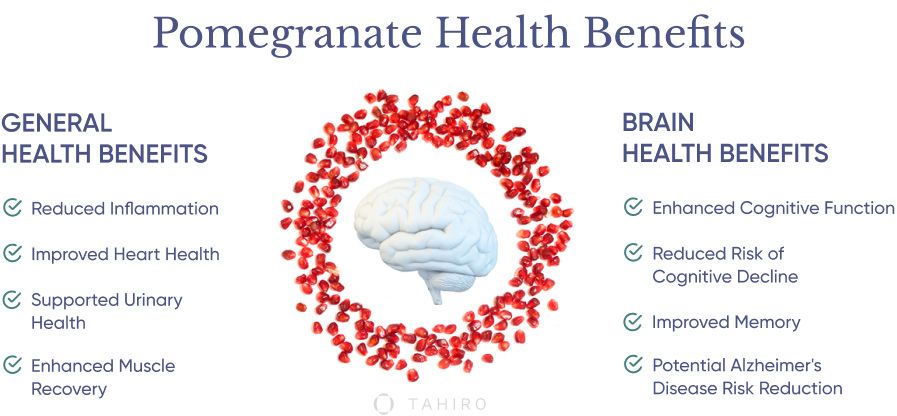 What Are The Health Benefits of Pomegranate?