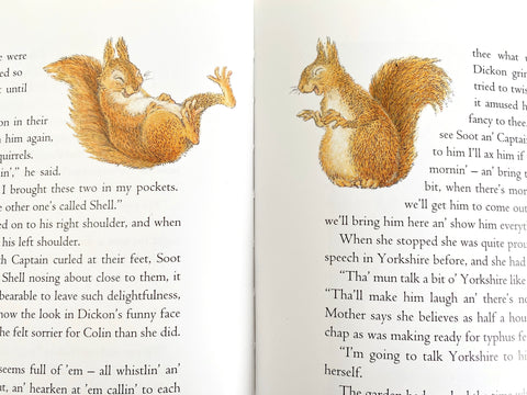 Squirrels by Inga Moore
