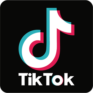 Amazel Designs TikTok