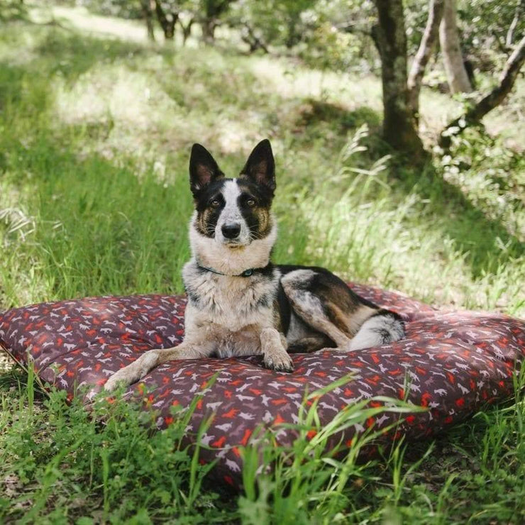 what is the best outdoor dog bedding