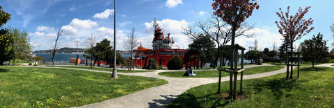 Enjoying sunny spring moments in the park, with a view of course