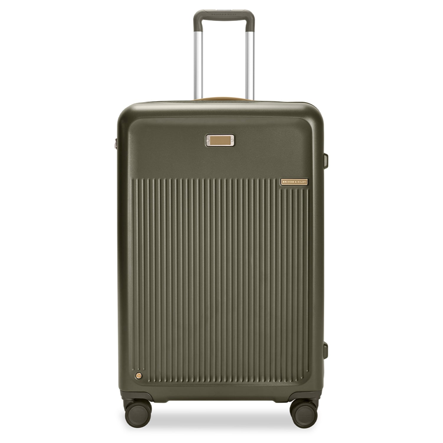 Large Expandable Spinner