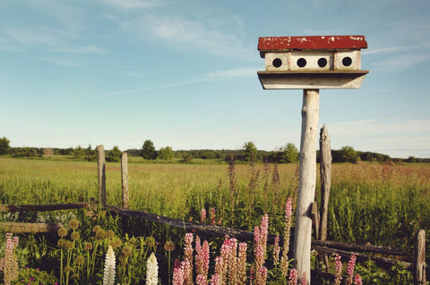 Door County, Wisconsin