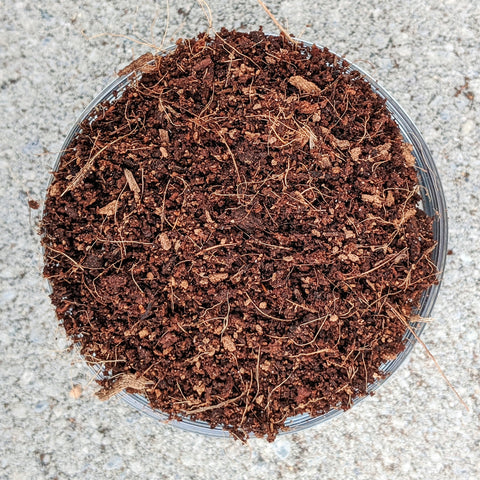 coco coir