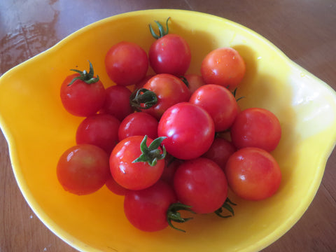 Tomato, Brandywine – Giving Ground Seeds