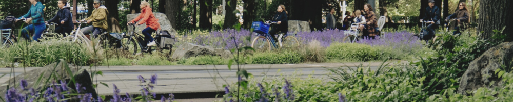 Radfahrer und eine Blumenwiese in einem Park