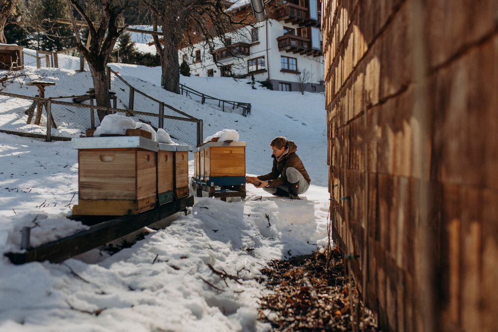 Bienenbeuten im Winter