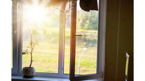 Sunlight shining through a window