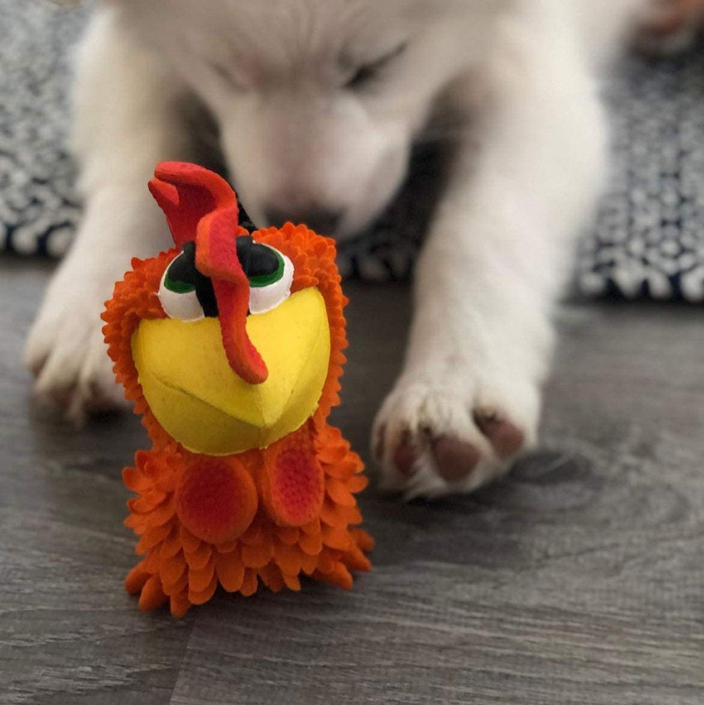 https://cdn.shopify.com/s/files/1/0141/5226/9924/products/cockerel-the-dog-toy-721739_1024x1024.jpg?v=1675353822