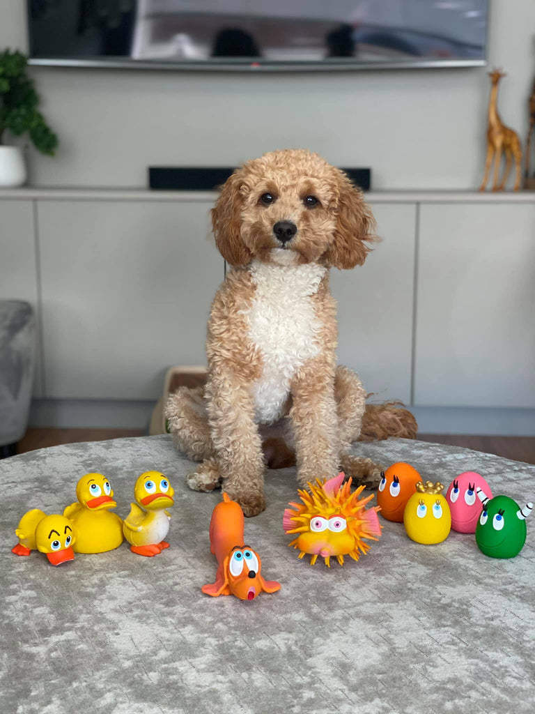 https://cdn.shopify.com/s/files/1/0141/5226/9924/products/natural-rubber-dog-toy-4-set-2-ovo-large-eggs-crown-frog-yellow-cat-691734_1024x1024.jpg?v=1671322479