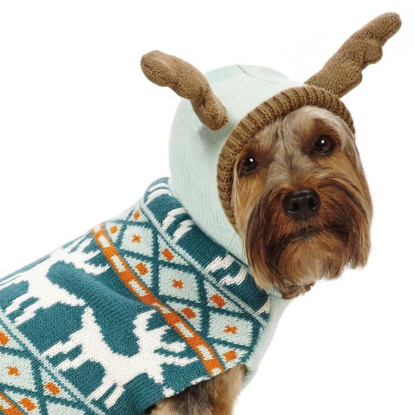 sweater for my dog