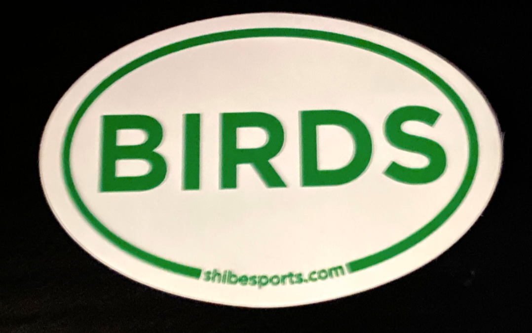 Philadelphia Eagles Retro 4“ x 4” Color Decal - Shibe Vintage Sports