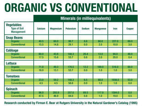 organic vs conventional, Dr. Firman E. Bear at rutgers university