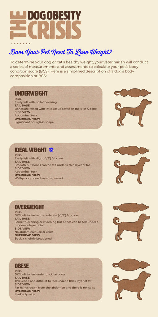 Chart to determine if your dog is underweight, optimal weight or overweight