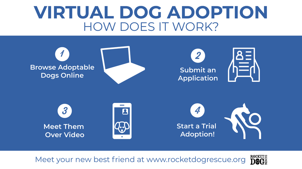 virtual dog adoption