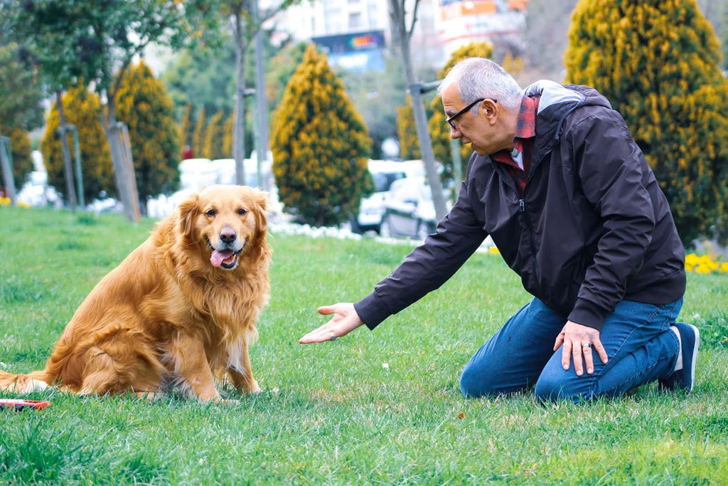 man at the park with a dog