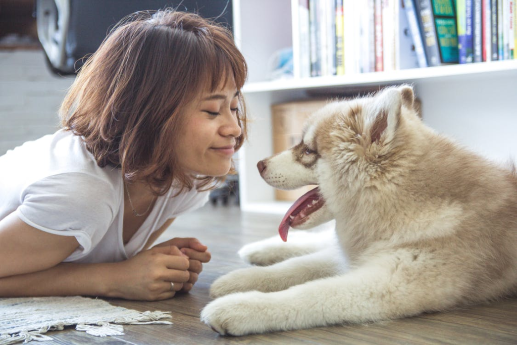 girl puts nose next to husky