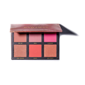 top blush palette