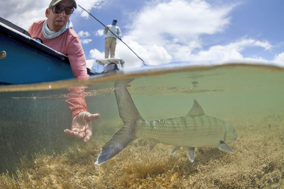 Bonefish